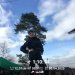 Загрузка от 10.04.2025 00:00:00 Корыткина Ксения 