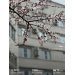  Hochgeladen am 13.04.2025 00:00:00Стенюшкина Екатерина 