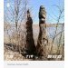  Загрузка от 16.04.2025 00:00:00 Денисова Юлия 