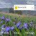  Загрузка от 16.04.2025 00:00:00 Куцая Ирина 