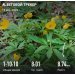  Hochgeladen am 19.04.2025 00:00:00Крайнова Елизавета 