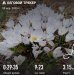  Hochgeladen am 20.04.2025 00:00:00Курицина Надежда 
