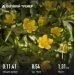  Hochgeladen am 21.04.2025 00:00:00Курицина Надежда 