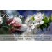  Hochgeladen am 24.04.2025 00:00:00Любовь Александровна 