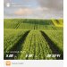  Загрузка от 26.04.2025 00:00:00 Денисова Юлия 