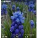 Hochgeladen am 28.04.2025 00:00:00Курицина Надежда 