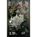  Hochgeladen am 01.05.2025 00:00:00Котикова Елена 