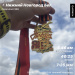  Hochgeladen am 09.05.2025 00:00:00Буланенков Павел 