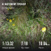  Hochgeladen am 10.05.2025 00:00:00Ярмухаметова Венера 