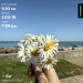  Hochgeladen am 10.05.2025 00:00:00Васильева Елена 
