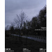  Hochgeladen am 12.05.2025 00:00:00Курицина Надежда 