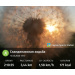  Hochgeladen am 13.05.2025 00:00:00Любовь Александровна 