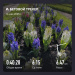  Hochgeladen am 14.05.2025 00:00:00Суворова Анна 