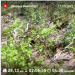  Hochgeladen am 17.05.2025 00:00:00Любовь Александровна 