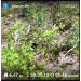  Hochgeladen am 17.05.2025 00:00:00Любовь Александровна 