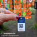  Hochgeladen am 17.05.2025 00:00:00Щербакова Ирина 