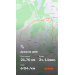  Hochgeladen am 17.05.2025 00:00:00Сырбу Костя 