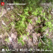  Hochgeladen am 18.05.2025 00:00:00Любовь Александровна 