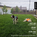 Hochgeladen am 20.05.2025 00:00:00Кузнецова Елизавета 