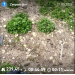  Hochgeladen am 21.05.2025 00:00:00Любовь Александровна 