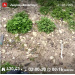  Hochgeladen am 21.05.2025 00:00:00Любовь Александровна 