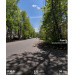  Hochgeladen am 21.05.2025 00:00:00Курицина Надежда 
