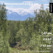  Hochgeladen am 30.05.2025 00:00:00Николаева Вера 