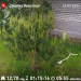  Hochgeladen am 30.05.2025 00:00:00Любовь Александровна 