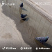  Hochgeladen am 31.05.2025 00:00:00Любовь Александровна 