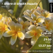 Hochgeladen am 01.06.2025 00:00:00Кирюшина Ульяна 