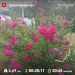  Hochgeladen am 09.06.2025 00:00:00Прохорова Любовь 