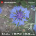  Hochgeladen am 10.06.2025 00:00:00Прохорова Любовь 