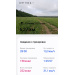  Hochgeladen am 13.06.2025 00:00:00Дремина Татьяна 