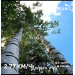  Hochgeladen am 16.06.2025 00:00:00Любовь Александровна 