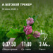 Загрузка от 18.06.2025 00:00:00 Молокоедова Виктория 
