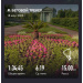  Hochgeladen am 18.06.2025 00:00:00Суворова Анна 