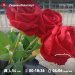  Hochgeladen am 19.06.2025 00:00:00Прохорова Любовь 