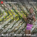  Hochgeladen am 19.06.2025 00:00:00Прохорова Любовь 