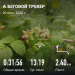  Загрузка от 20.06.2025 00:00:00 Молокоедова Виктория 