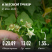  Загрузка от 21.06.2025 00:00:00 Молокоедова Виктория 