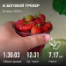  Загрузка от 22.06.2025 00:00:00 Молокоедова Виктория 