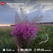 Hochgeladen am 23.06.2025 00:00:00Прохорова Любовь 