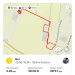  Hochgeladen am 25.06.2025 00:00:00Козлова Татьяна 