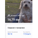  Hochgeladen am 30.06.2025 00:00:00Дремина Татьяна 