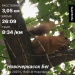  Hochgeladen am 01.07.2025 00:00:00Лобода Александр 