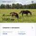  Hochgeladen am 03.07.2025 00:00:00Дремина Татьяна 