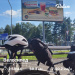  Hochgeladen am 03.07.2025 00:00:00Леонов Антон 