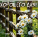  Hochgeladen am 04.07.2025 00:00:00Курицина Надежда 
