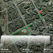  Hochgeladen am 04.07.2025 00:00:00Мурзина Ольга 