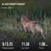  Загрузка от 06.07.2025 00:00:00 Зиянбаева Анна 